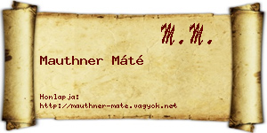 Mauthner Máté névjegykártya
